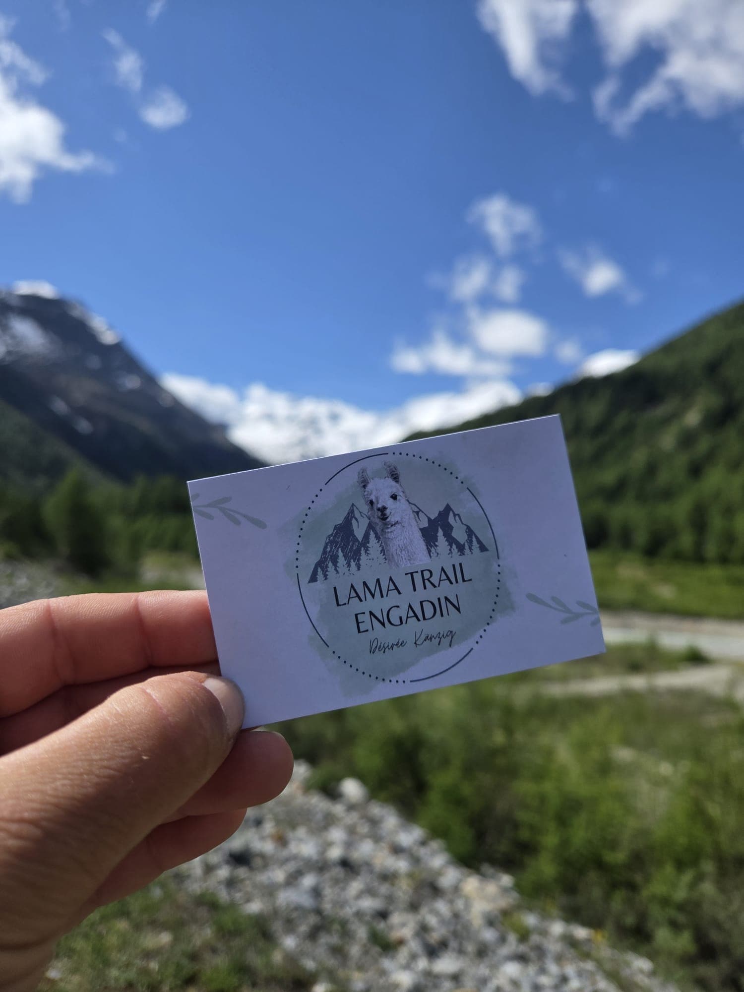 Lama-Trekking Angebot im Engadin