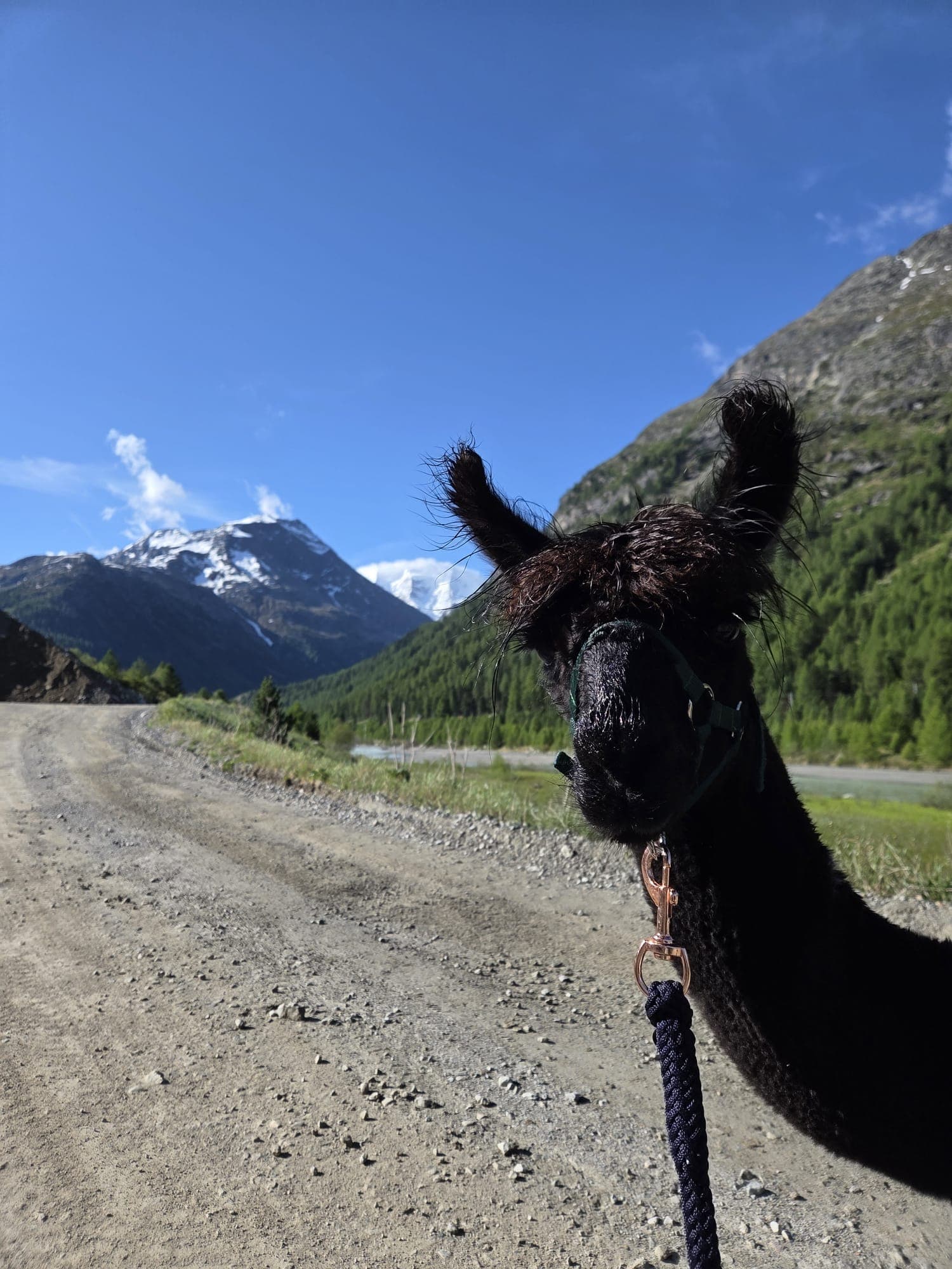 Rocky – Foto 2